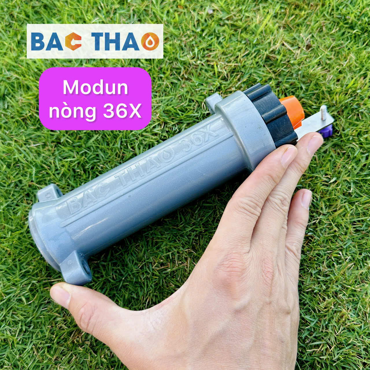 modun nòng ngắn 36